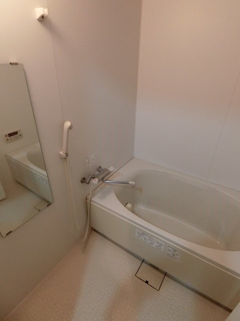 バス
