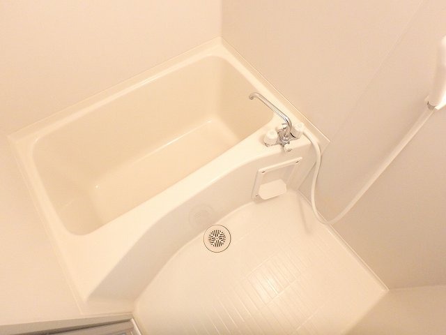 バス