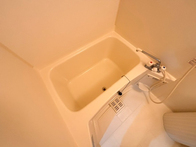 バス