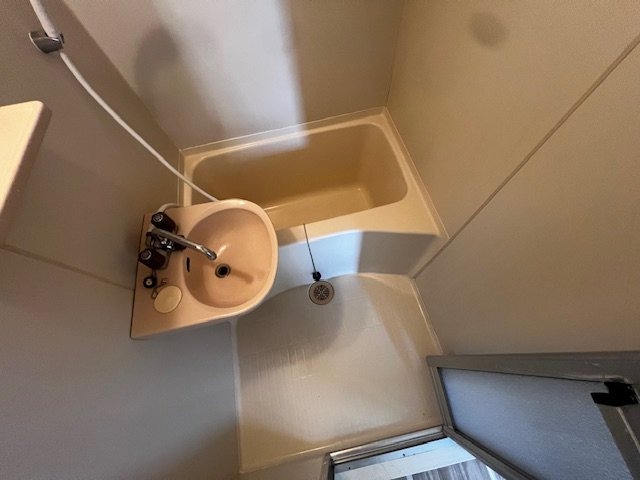 バス