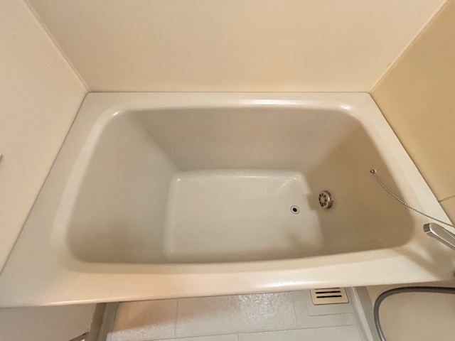 バス