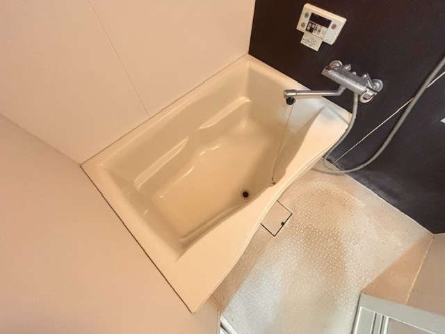 バス