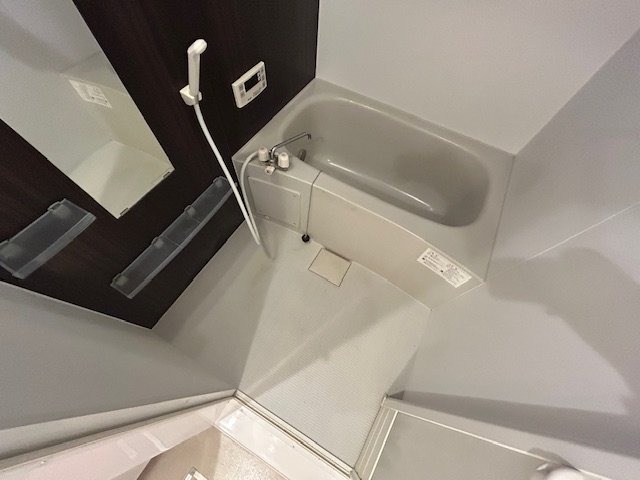 バス