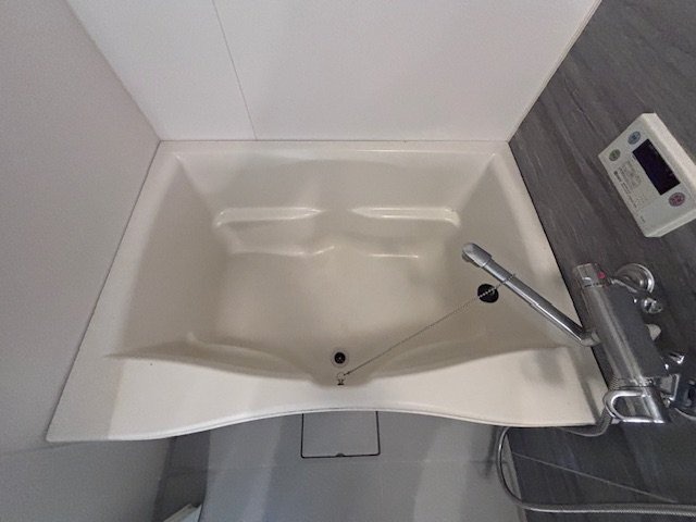 バス