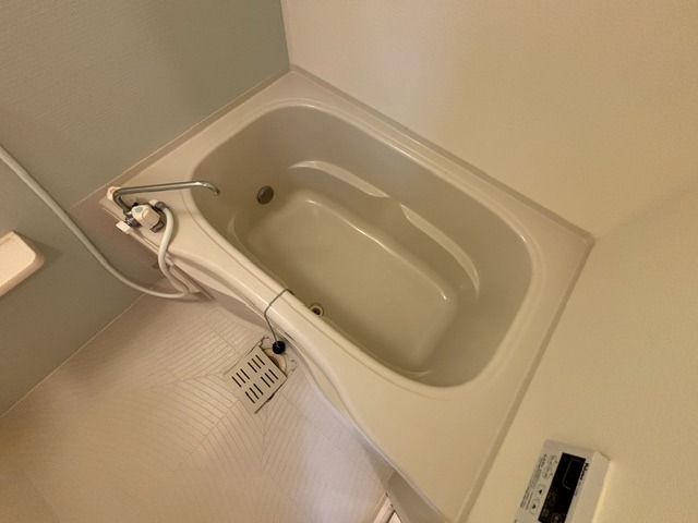 バス