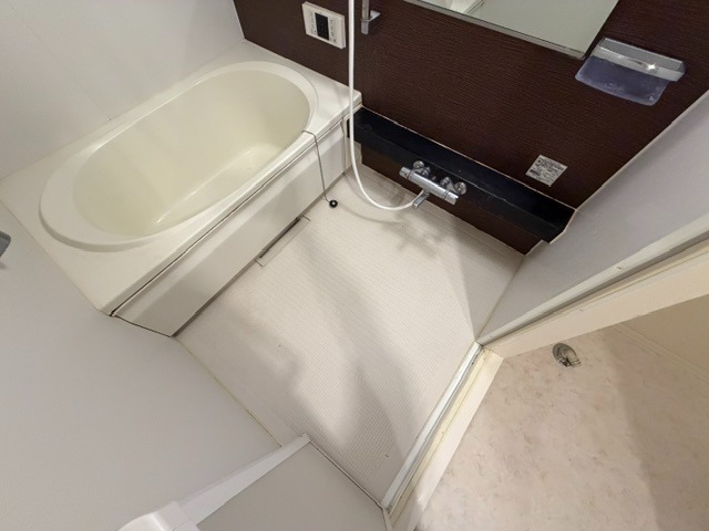 バス