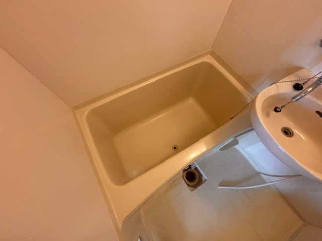 バス