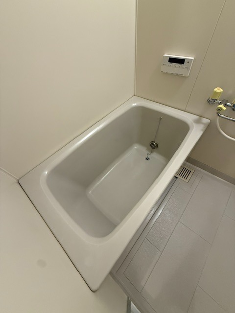 バス