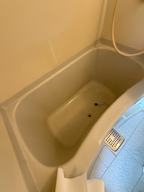 バス