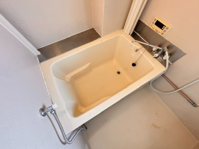 バス