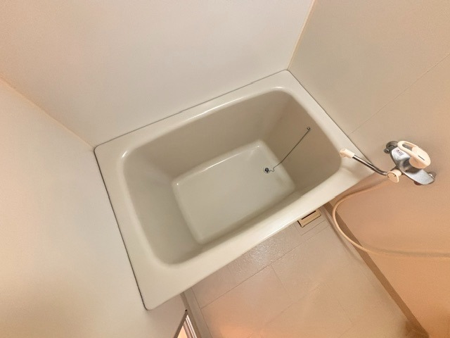バス
