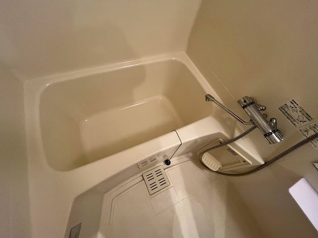 バス