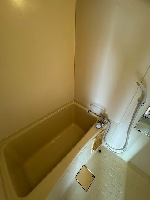 バス