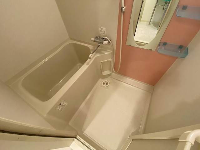 バス