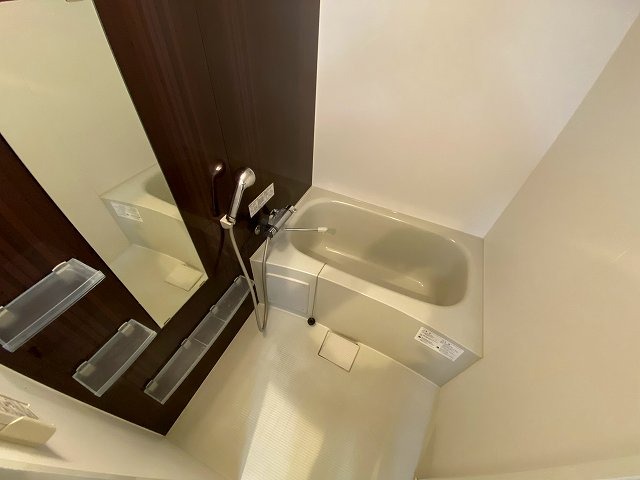 バス