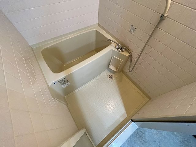 バス