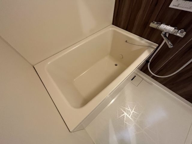 バス