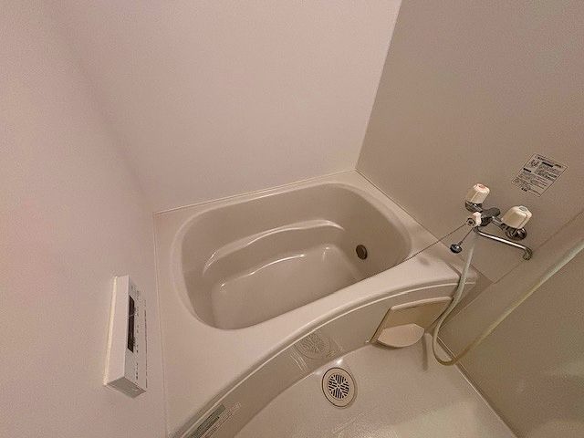 バス
