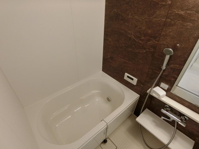 バス
