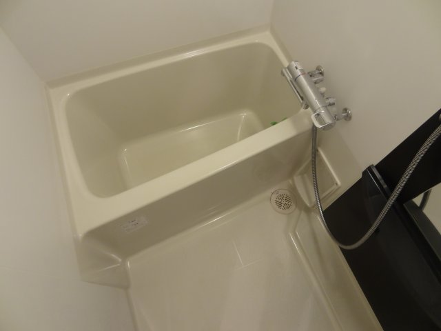 バス