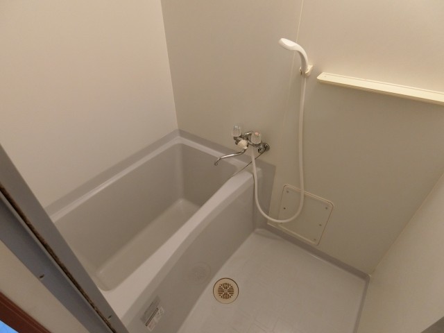 バス