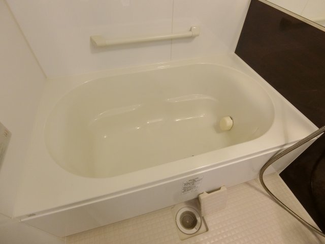 バス