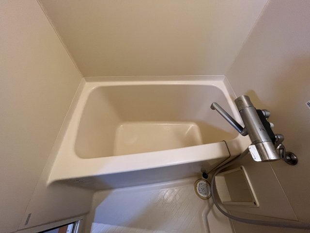 バス