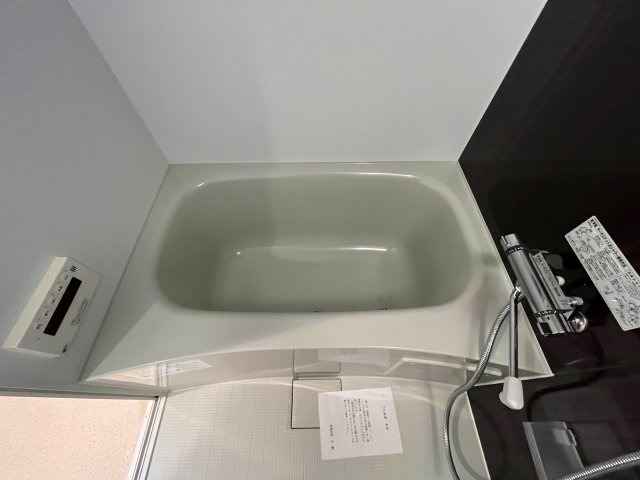 バス