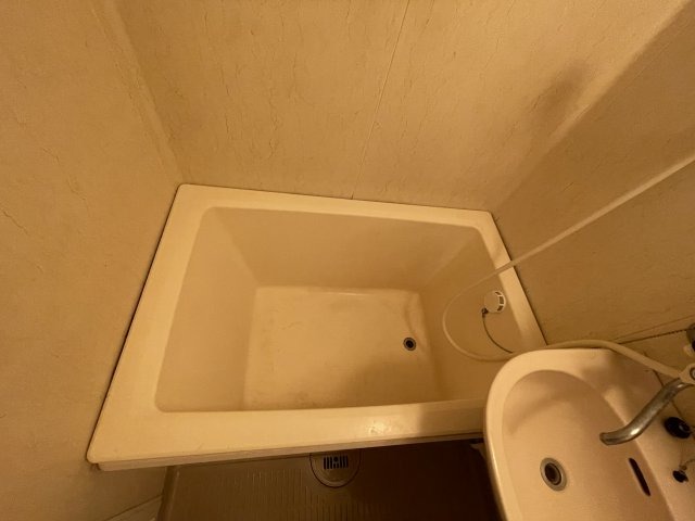 バス
