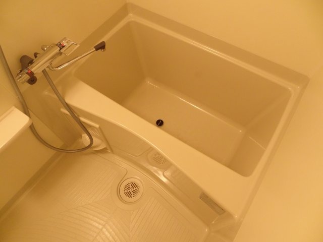 バス