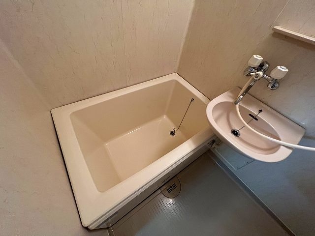 バス