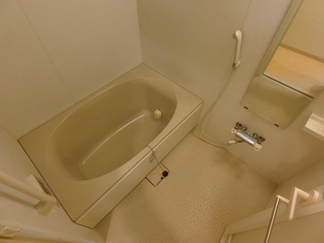 バス