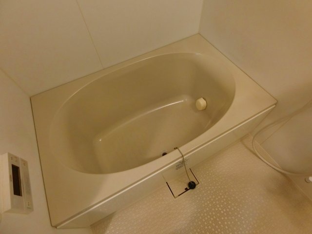 バス