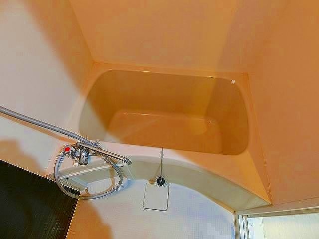 バス