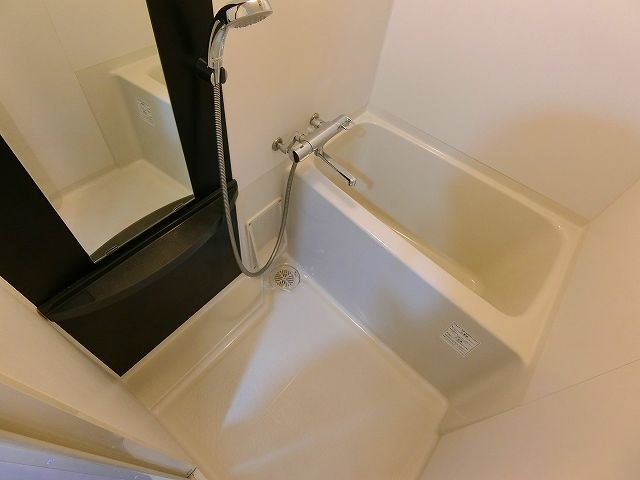 バス