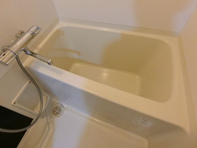 バス