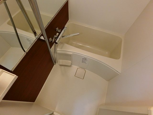 バス