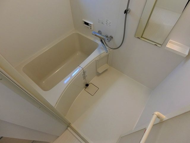 バス