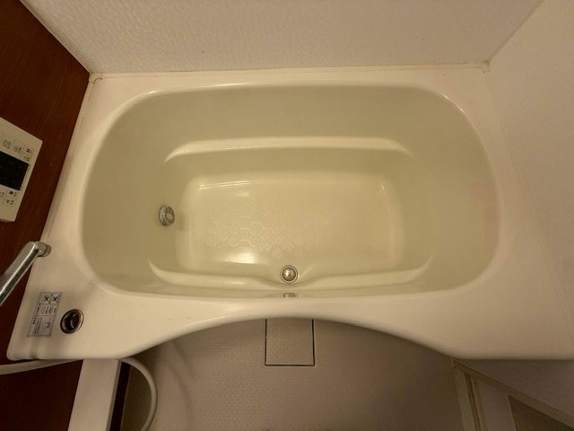 バス