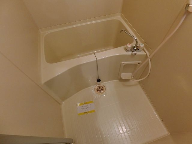 バス