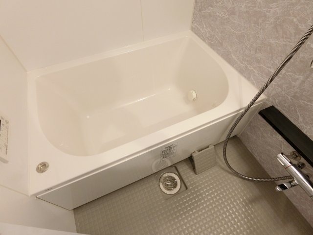 バス