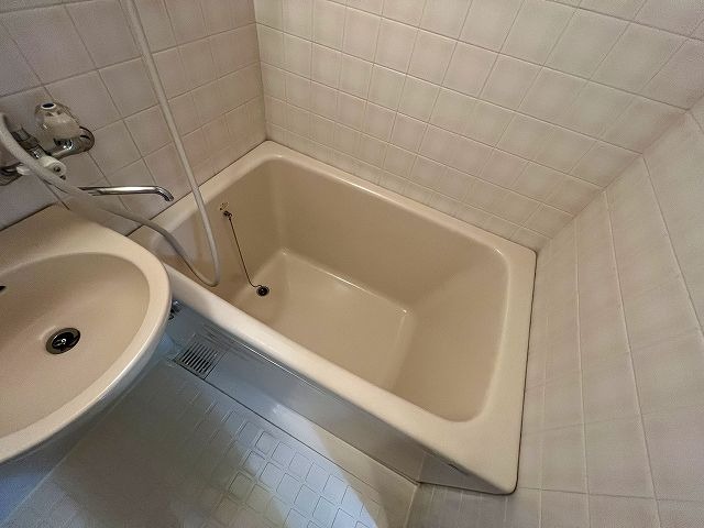 バス