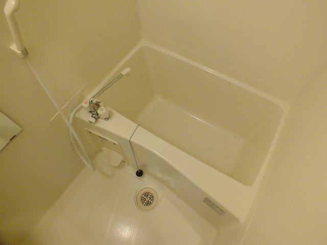 バス