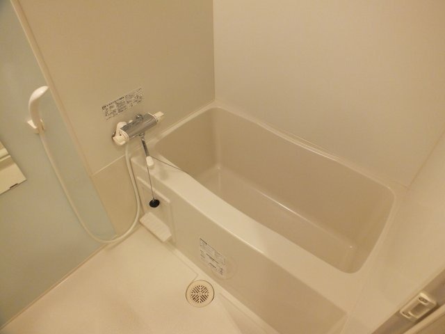 バス