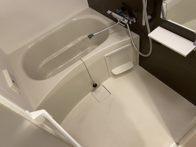 バス