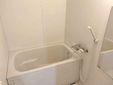 バス