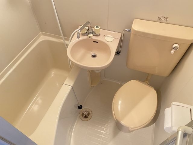 バス