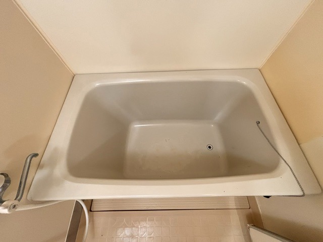 バス