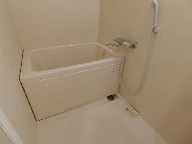バス
