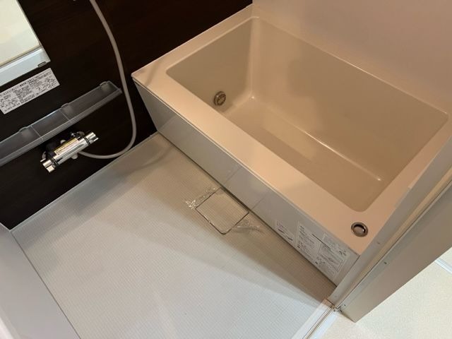 バス